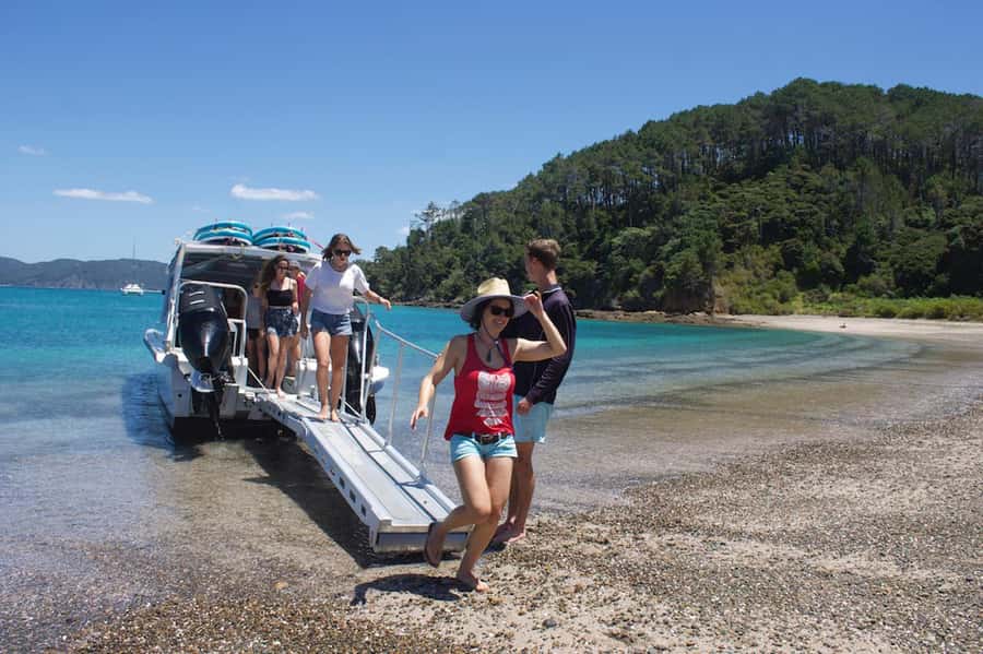 Paihia/Russell: Hole in the Rock Cruise with 2 Island Stops - Price, Timing, and Practical Value