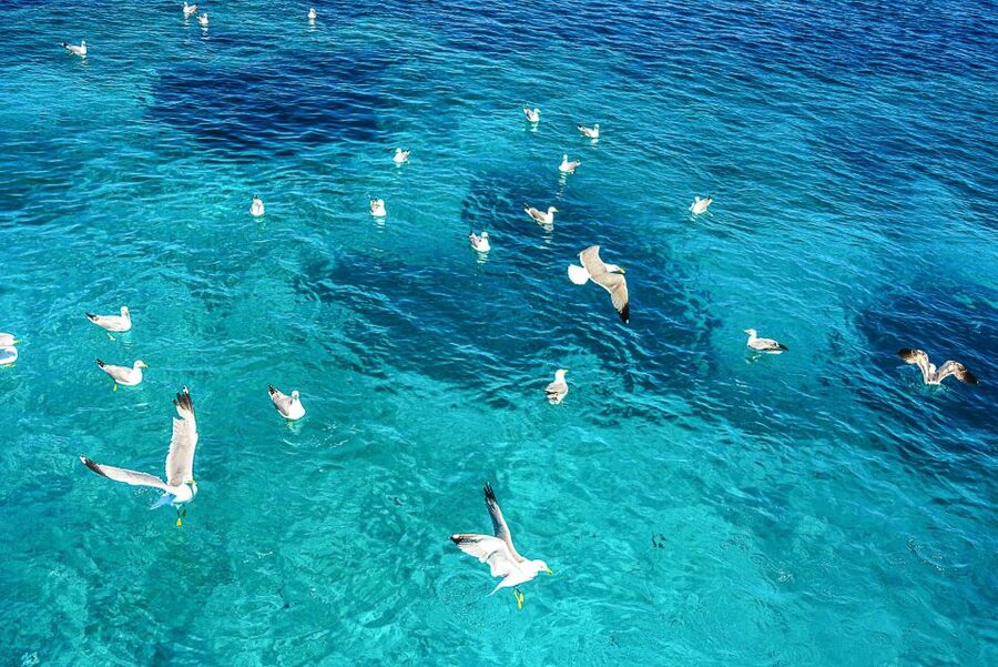 Palau: La Maddalena Archipelago and Caprera Island Boat Tour - Why this boat trip works for a first visit