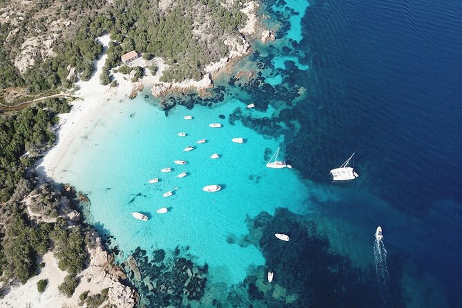 Palau or La Maddalena: 4-hour RIB tour of the archipelago - Budelli and the Pink Beach view