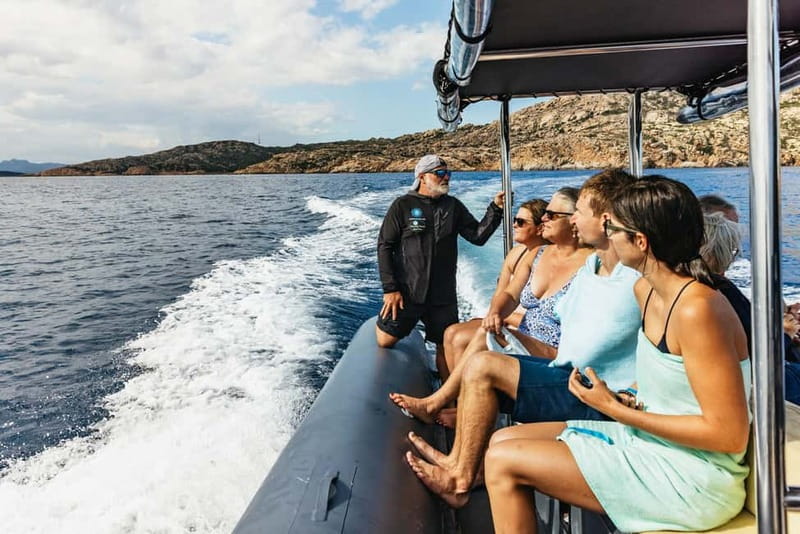 Palau or La Maddalena: 4-hour RIB tour of the archipelago - Is $56 a fair price?
