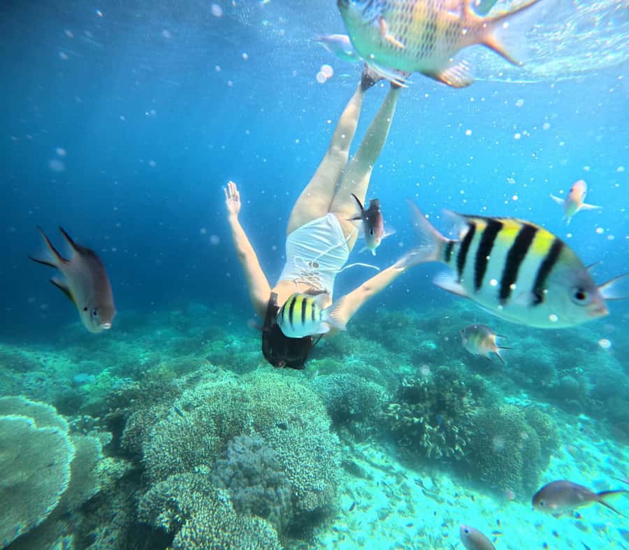 Panglao: Island Hopping w/Balicasag (Shared) - Balicasag Island and its protected reef areas
