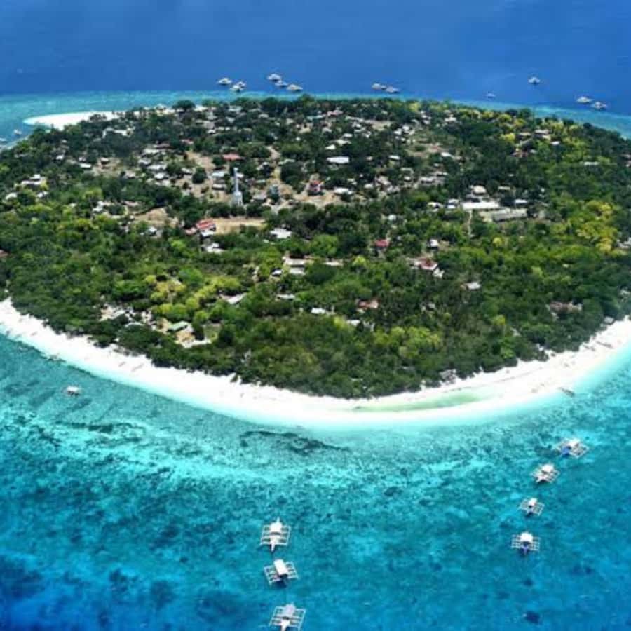 Panglao: Island Hopping w/Balicasag (Shared) - Returning to Alona Beach