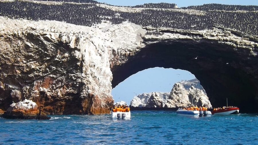 Paracas: Ballestas Islands Boat tour - Islas Ballestas - Should you book the Ballestas Islands boat tour?