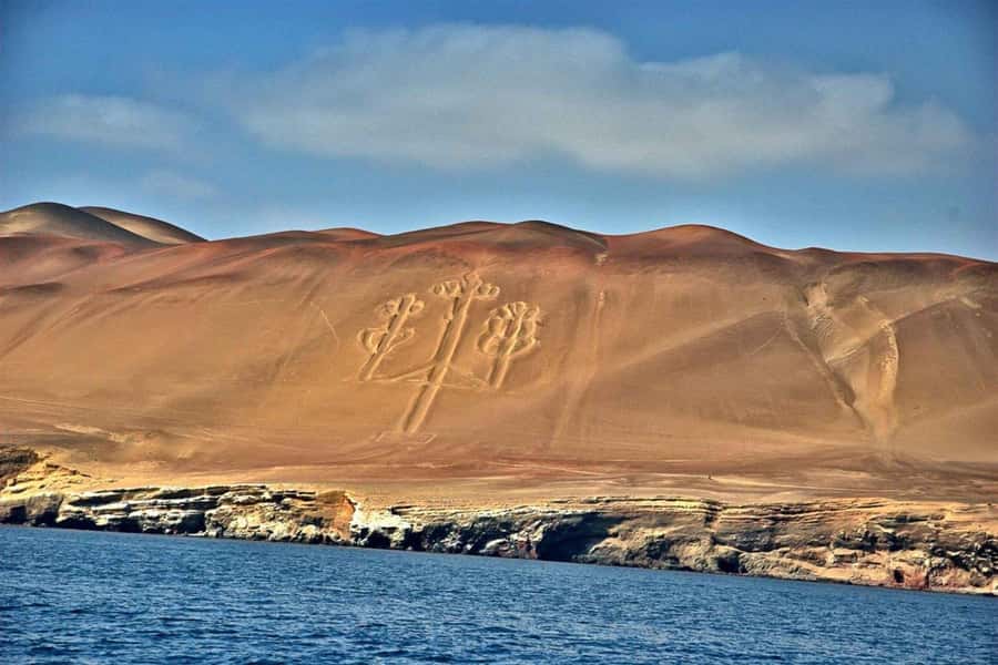 Paracas: Ballestas Islands Boat tour - Islas Ballestas - Dolphins, whales, and the limits of wildlife watching
