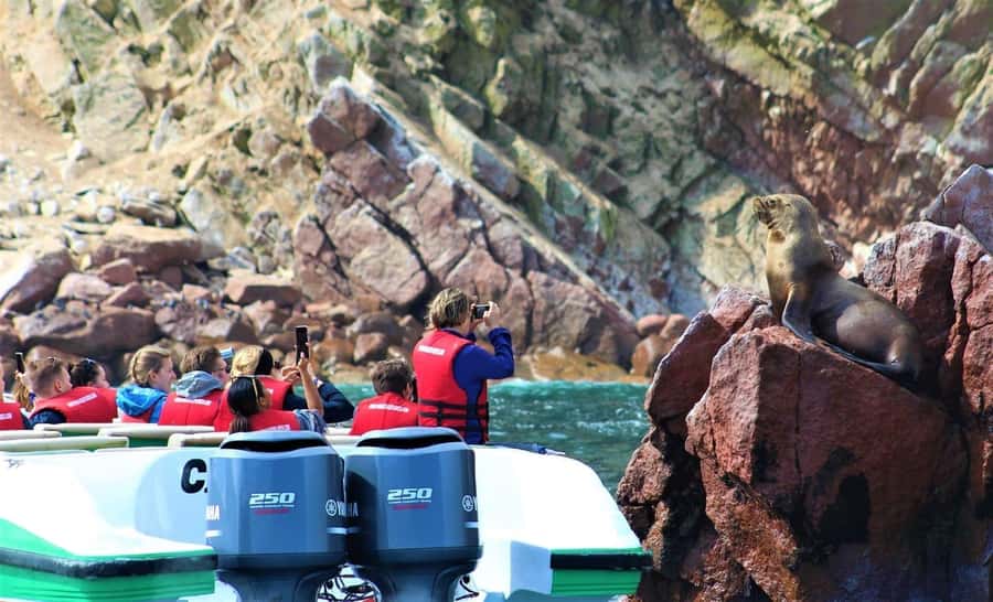 Paracas: speedboat BALLESTAS ISLANDS TOUR - Key points to know before booking