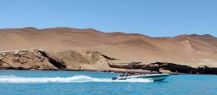 Paracas: speedboat BALLESTAS ISLANDS TOUR - What a $18 Paracas boat trip really offers