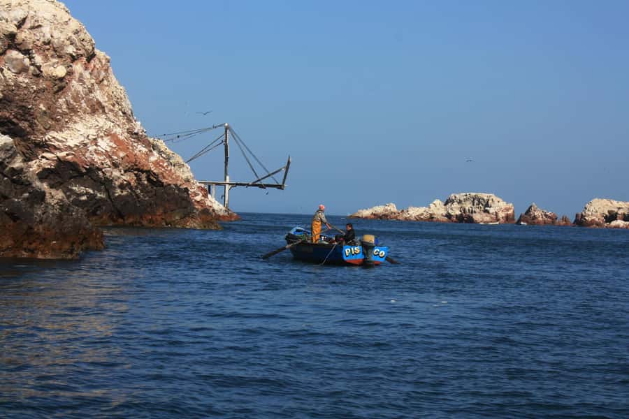 Paracas: speedboat BALLESTAS ISLANDS TOUR - Who will enjoy this tour most