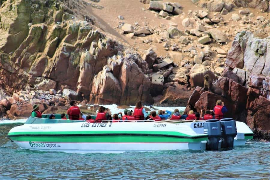 Paracas: speedboat BALLESTAS ISLANDS TOUR - Meeting at Plaza El Chaco in Paracas