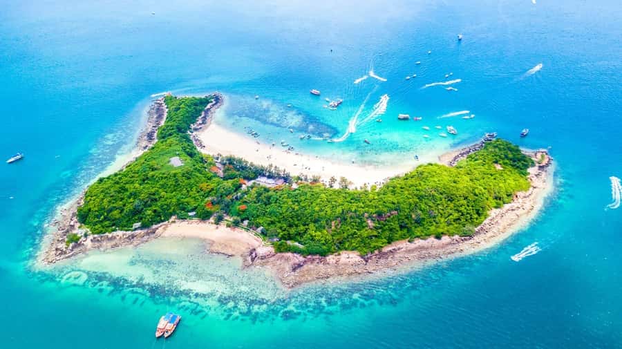 Pattaya: Private Speedboat to Coral Islands Cruise - Key points to know before booking