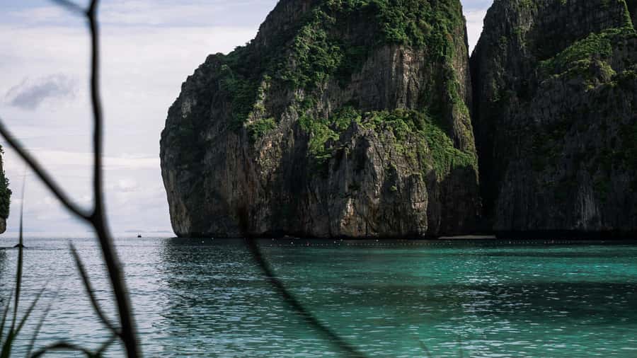 Phi Phi: Exclusive Full Day Longtail Boat to 7 Islands - Shark Point offers a real wildlife moment