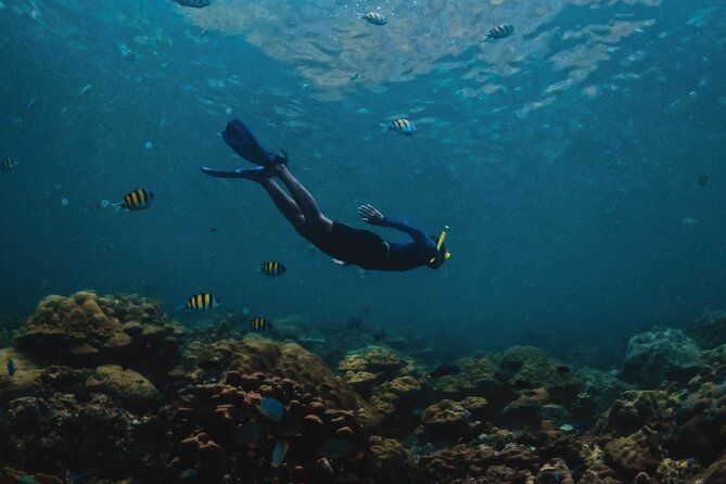 Phi Phi Islands Cruise with Lunch & Sea View Seats from Phuket - Snorkeling at Coral Bay