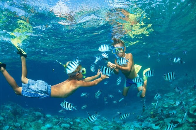 Phi Phi Islands Day Tour from Khaolak - Why this Phi Phi trip is worth considering