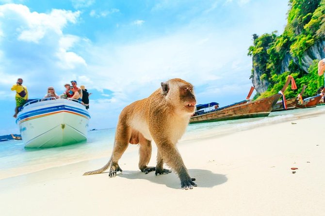Phi Phi , Khai & Maya : Unforgettable Island Hopping by Speedboat - Pileh Lagoon and the optional longtail boat