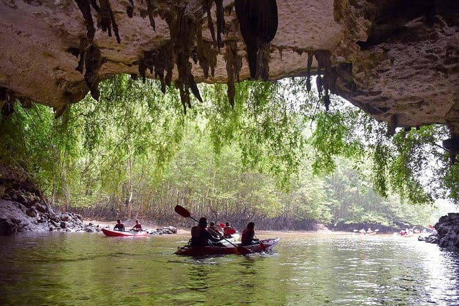 Phi Phi, Maya and Bamboo Islands Day Tour by Speedboat in Krabi - Monkey Beach: wildlife and a boat-side view