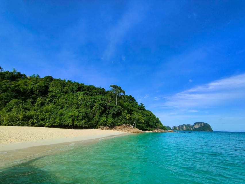 Phi Phi: One Day trip by Long Tail Boat (7 island) - Monkey Beach: A Short, Lively First Stop