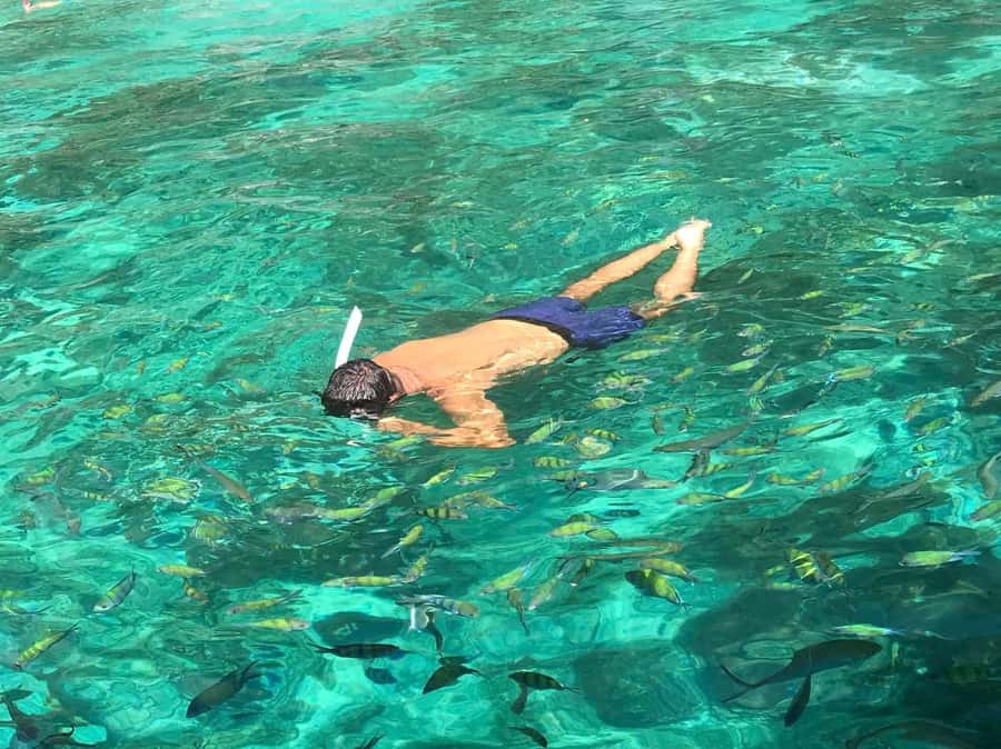 Phi Phi: Private 7 Islands Longtail to Maya Bay and Bamboo - Starting at McDonald’s on Phi Phi Don