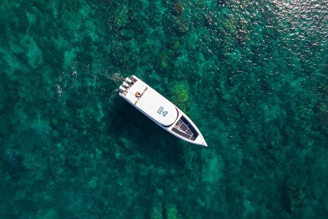 Phi Phi Speedboat Day Trip: Maya Bay, Bamboo & Seaview Lunch - Viking Cave and Monkey Beach