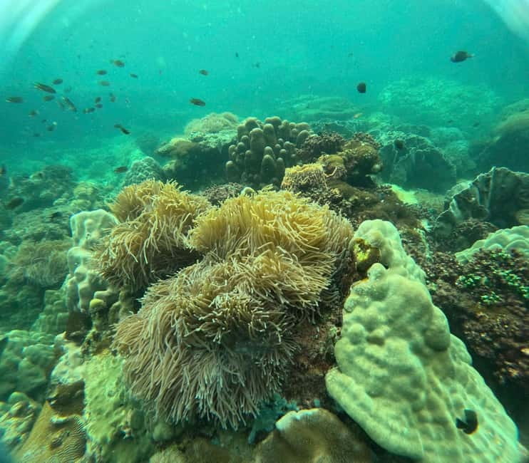Phu Quoc: Snorkeling and Island Hopping by Speedboat & Lunch - What This $53 Day Actually Delivers