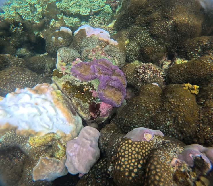Phu Quoc: Snorkeling and Island Hopping by Speedboat & Lunch - Mong Tay or May Rut Trong: Lunch and a Rest