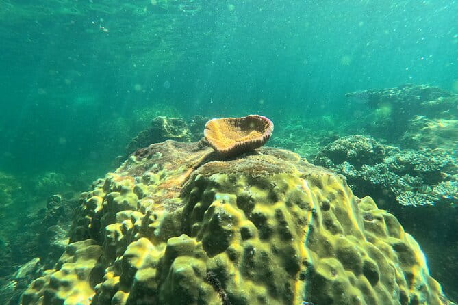 Phu Quoc: Snorkeling and Island Hopping By Speedboat with Lunch - The 8:30 AM start at Ngoc Hien Pearl Farm