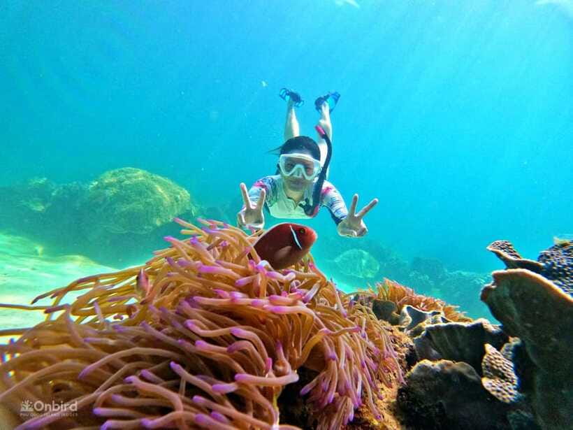 Phu Quoc: Speed Boat Tour 4 Islands - 2 Reefs Snorkeling - The second reef: more time to explore