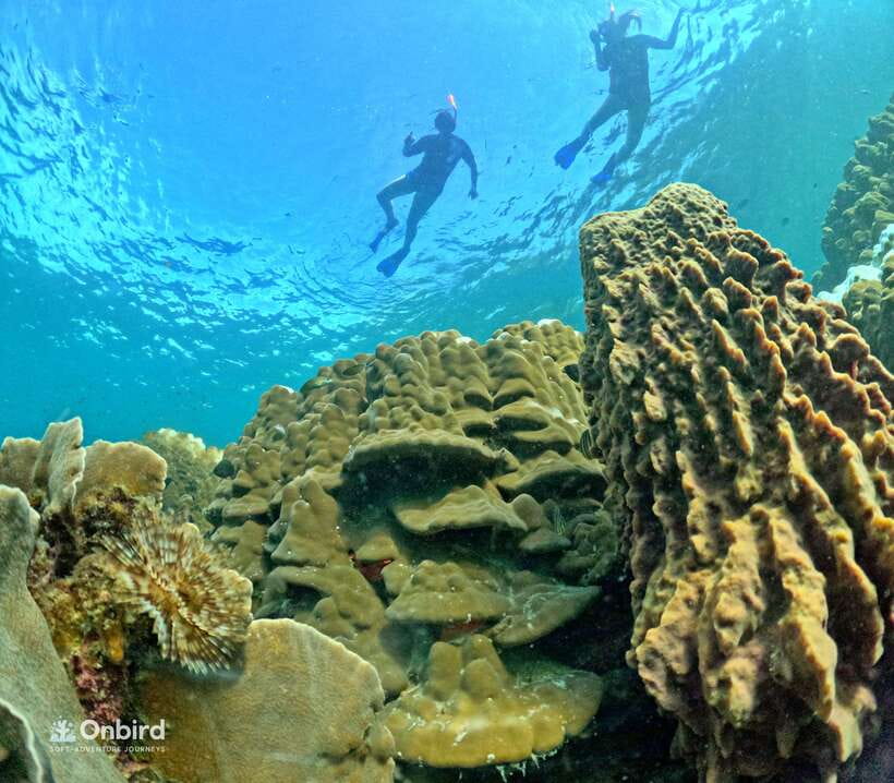 Phu Quoc: Speed Boat Tour 4 Islands - 2 Reefs Snorkeling - Speedboat travel and group comfort