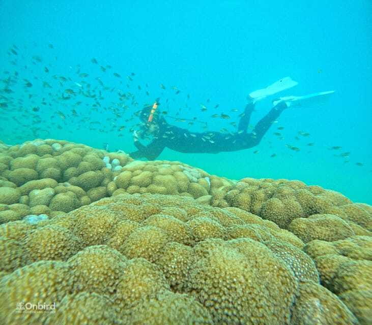 Phu Quoc: Speed Boat Tour 4 Islands - 2 Reefs Snorkeling - Is $47 a fair price?