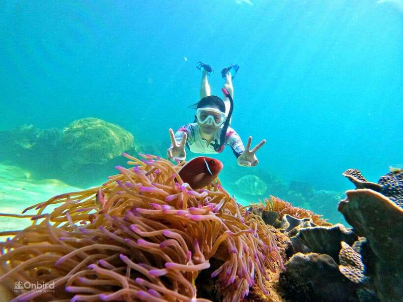 Phu Quoc: Speed Boat Tour 4 Islands - 2 Reefs Snorkeling - Pickup, timing, and the six-hour plan