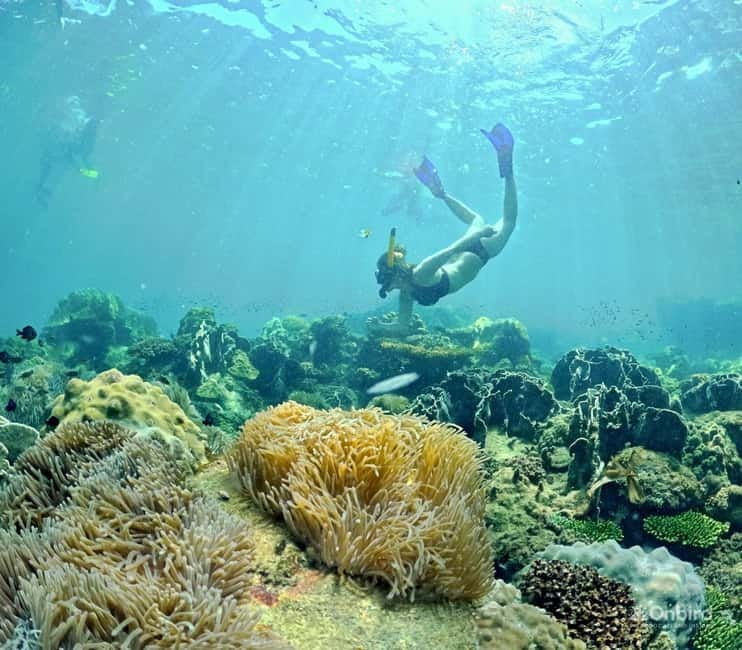 Phu Quoc Speedboat Pro Snorkeling: 4 Islands-2 Reefs & Meal - Stop one: calm water and a proper start