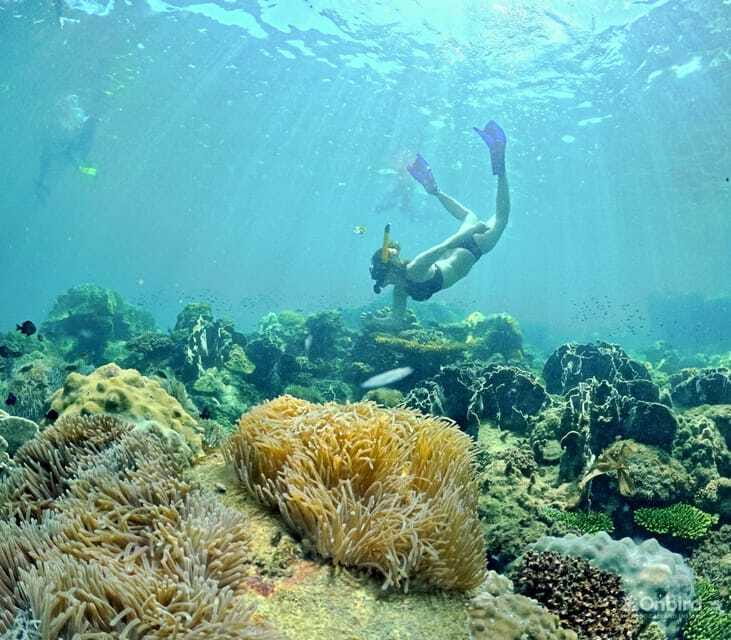 Phu Quoc Speedboat Pro Snorkeling: 4 Islands-2 Reefs & Meal - Stop four: beach time after the reefs