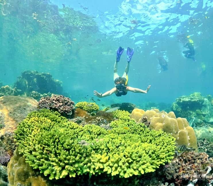 Phu Quoc Speedboat Pro Snorkeling: 4 Islands-2 Reefs & Meal - Safety and comfort details you should take seriously