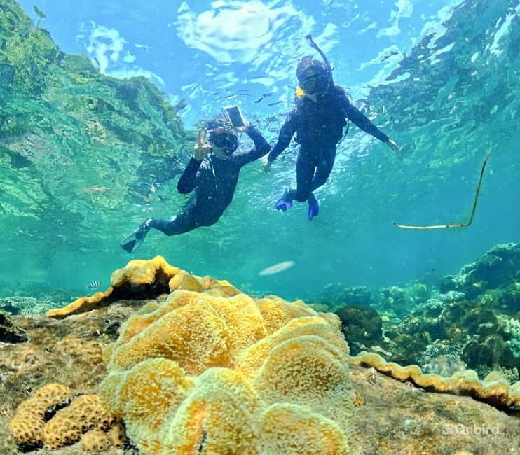 Phu Quoc Speedboat Pro Snorkeling: 4 Islands-2 Reefs & Meal - A small boat with a useful group limit