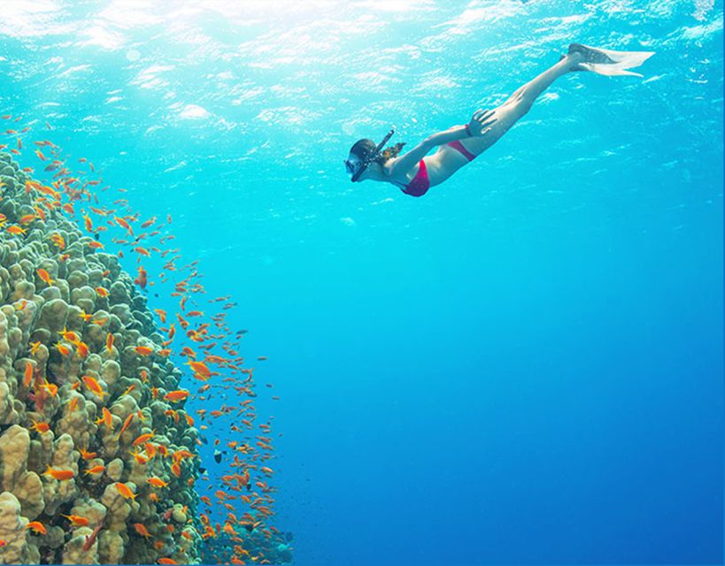 Phu Quoc: Speedboat Tour of 4 Islands with Snorkeling & BBQ - Key points to know before booking