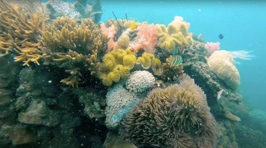 Phu Quoc: Speedboat Tour of 4 Islands with Snorkeling & BBQ - May Rut Ngoai or Gham Ghi for beach time