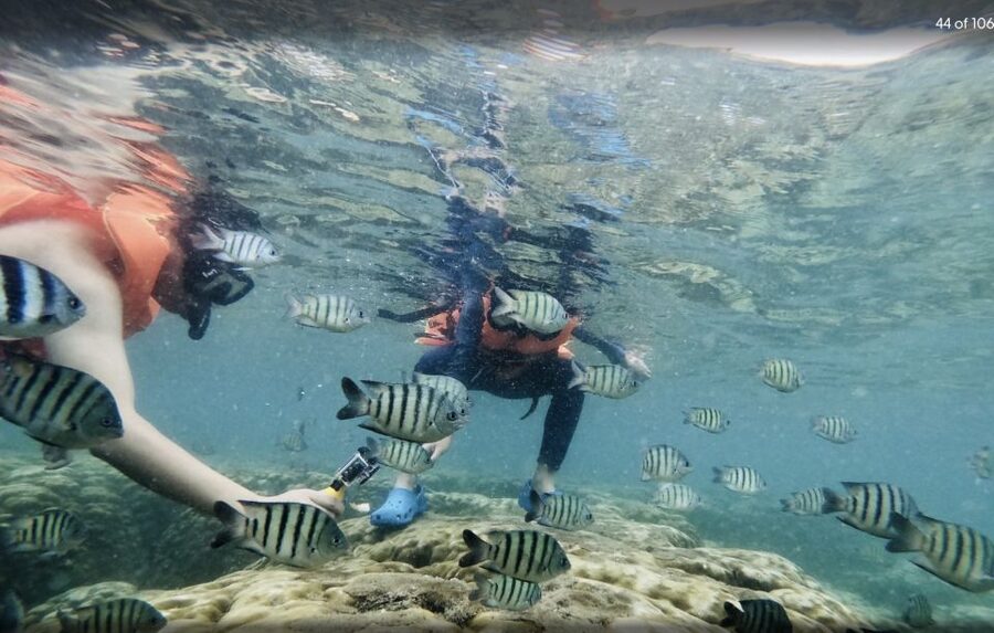 Phu Quoc: Speedboat Tour of 4 Islands with Snorkeling & BBQ - Fingernail Island and the final island pause