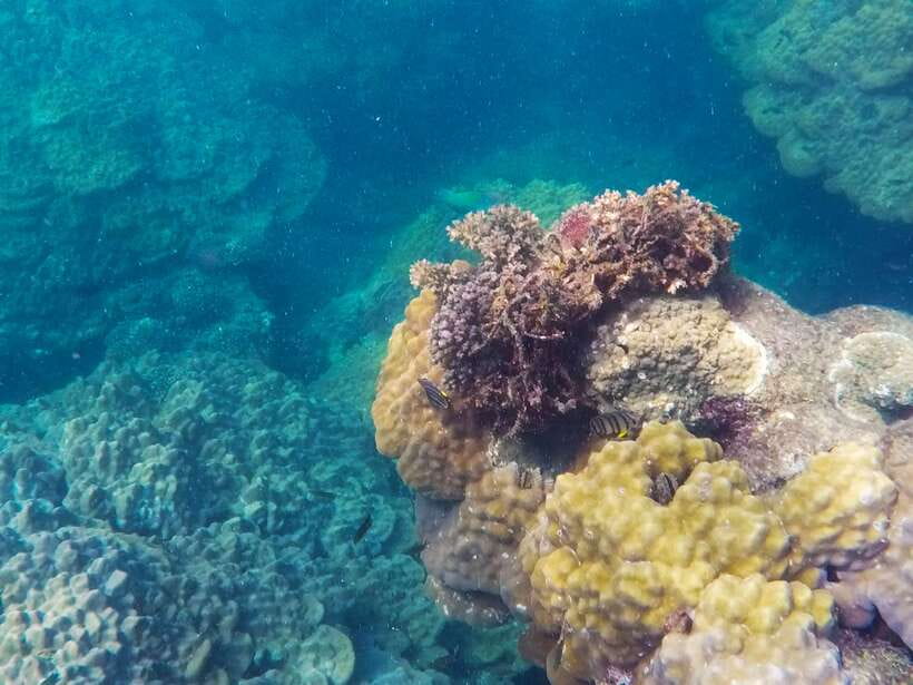 Phu Quoc Speedboat Trip: 3 Islands By Speedboat - Guides, group size, and the pace of the day