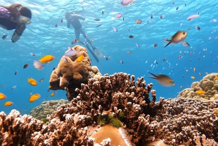 Phuket: 2 Days Itinerary Similan & James Bond Islands Tour - Panak Island and the Ice Cream or Mangrove Cave