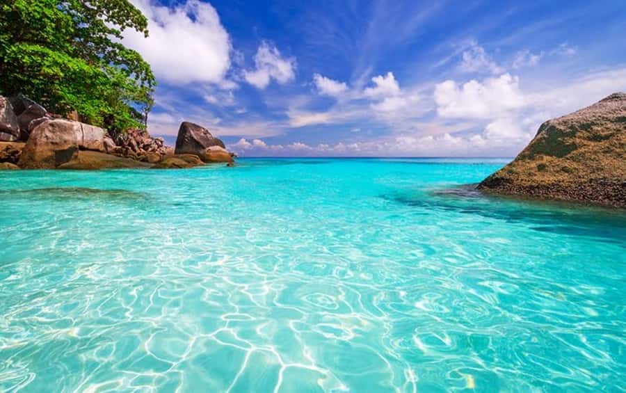Phuket: 2 Days Itinerary Similan & Phi Phi Islands Day Tour - What the $237 price includes