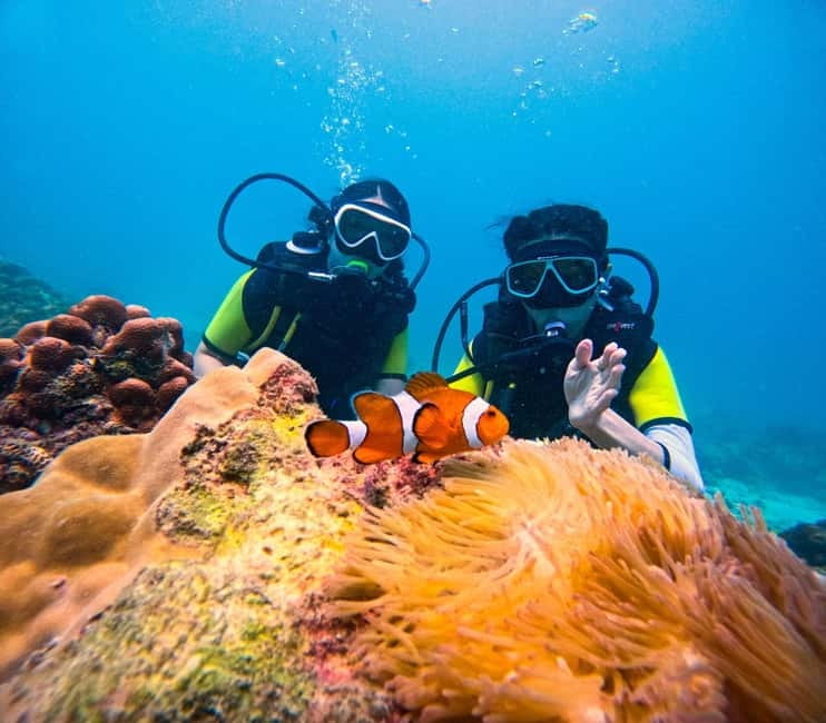 Phuket: Khai Islands Tour Or Scuba Diving Options - Key points to know before booking