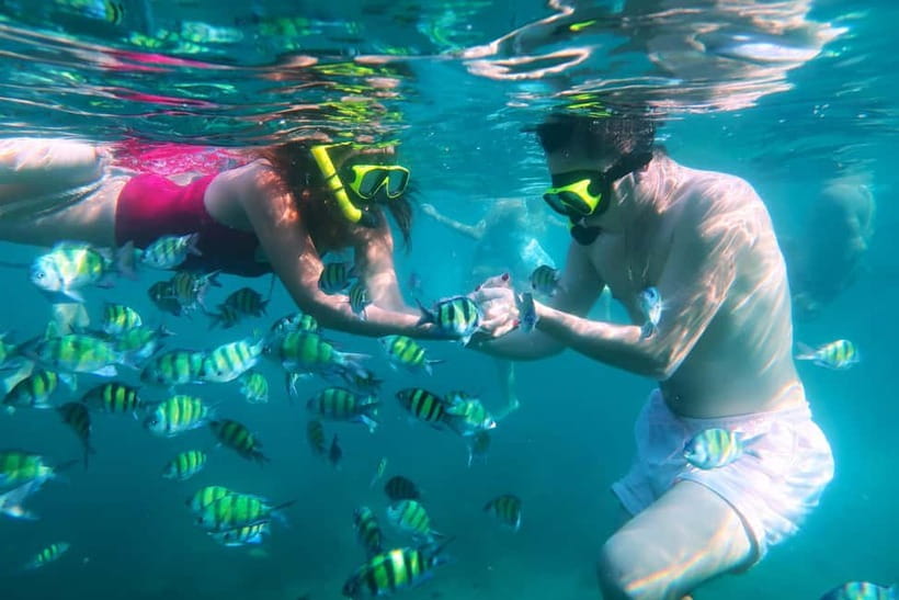 Phuket: Khai Islands Tour Or Scuba Diving Options - Food, service, and what the price really covers