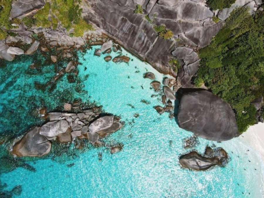 Phuket/Khao Lak: Similan Islands by Speedboat - Koh Miang and Honeymoon Reef: first views and first swim