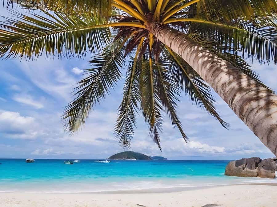 Phuket/Khao Lak: Similan Islands by Speedboat - What to pack and who should skip it