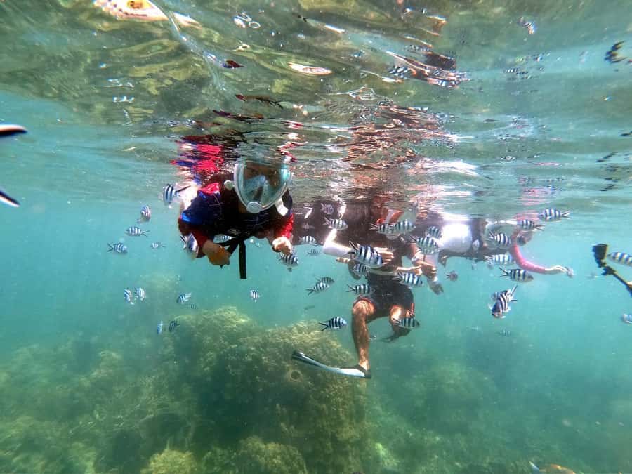 Phuket: Maya Bay, Phi Phi, Green, and Khai Islands Day Trip - From Phuket hotel to AA Marina