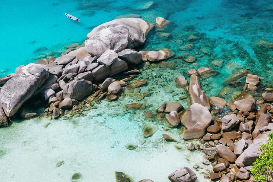 Phuket: Similan Islands Day Tour by Speedboat with Lunch - Koh Miang and Princess Bay, with lunch on Island 4