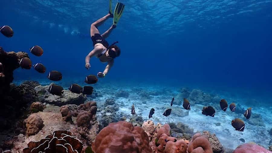 Phuket: Similan Islands Day Tour by Speedboat with Lunch - Island 8 and the climb to Sailing Rock