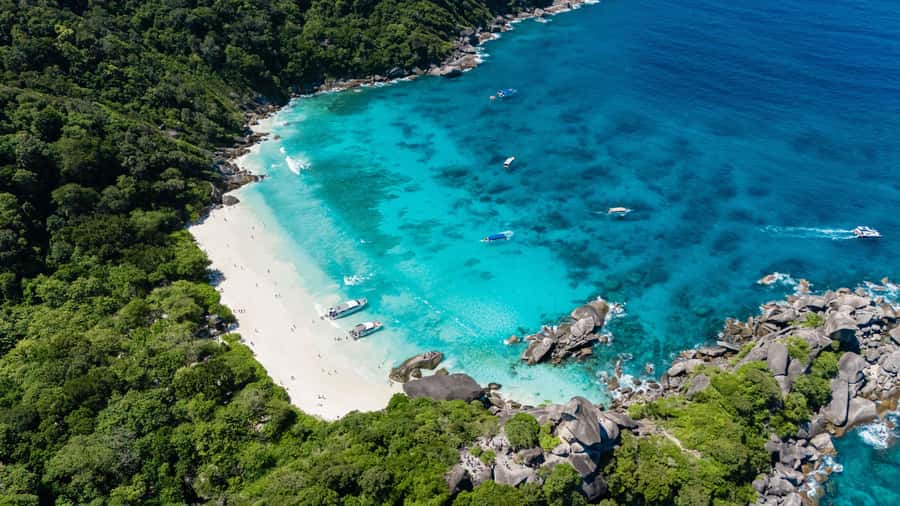 Phuket: Similan Islands Tour by Premium Speed Catamaran - Should You Book the SAWANU Catamaran Tour?