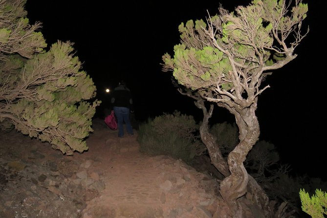 Pico Ruivo Sunrise Hike and 4x4 Island Tour from Funchal - Faial Fortress and the eastern coast