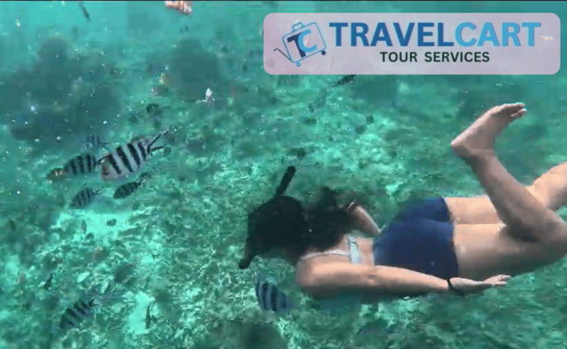 PORT BARTON: Full-day Shared Island Hopping Tour A - Turtle Sanctuary: conservation with a close view