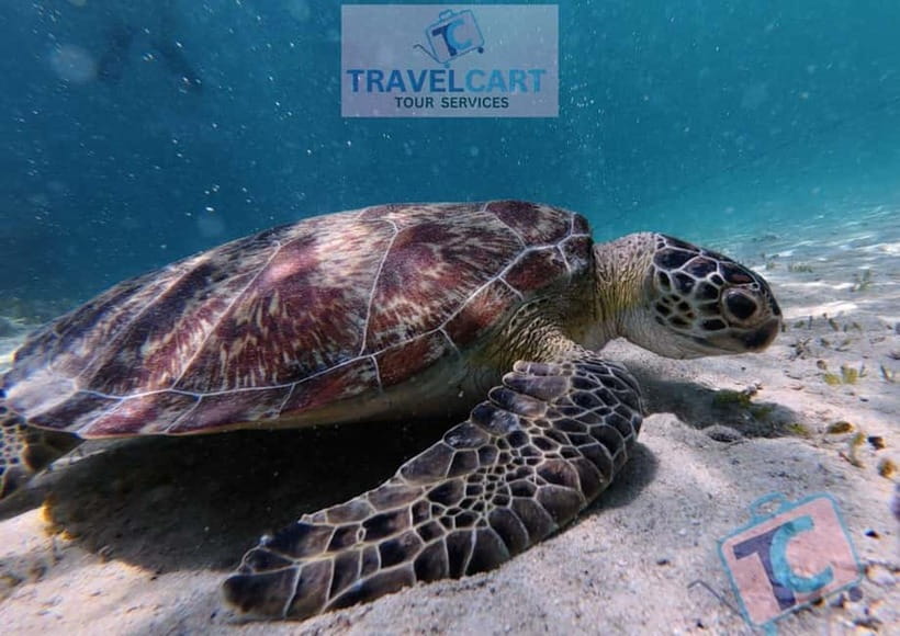 PORT BARTON: Full-day Shared Island Hopping Tour A - Maxima and Exotic Islands: the beach stops