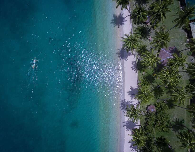 Port Barton: Island Hopping to Turtle Spot & Reef with Lunch - Why this Port Barton day works so well